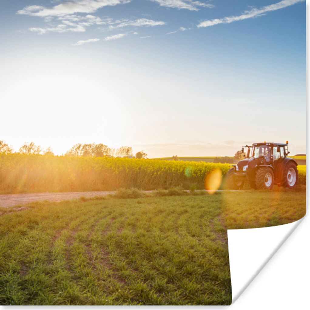 MuchoWow Poster Traktor - Gras - Sonnenuntergang 100x100 cm - Babyzimmer