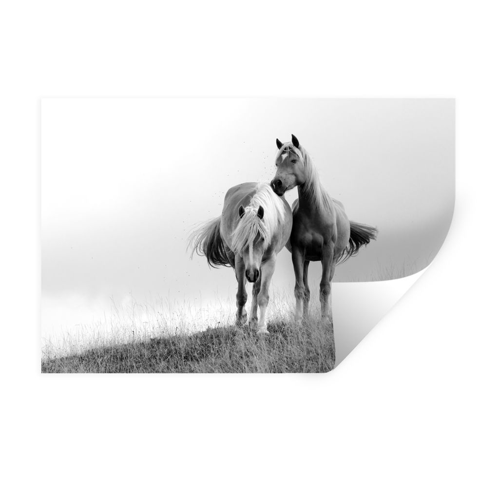 MuchoWow Wandtattoo Wandsticker Wandaufkleber Haflingerpferde auf der Wiese - schwarz und weiß 60x40 cm Selbstklebend und Repositionierbar - Wie...