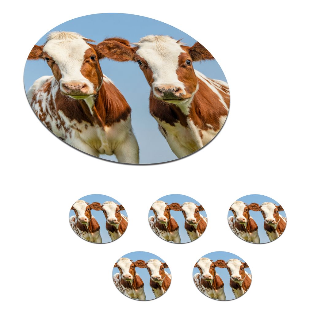 KitchenYeah Glasuntersetzer Rund 6er Set Kühe - Himmel - Tiere - Bauernhof - Porträt 10x10 cm Untersetzer für Gläser - Getränkeuntersetzer -...
