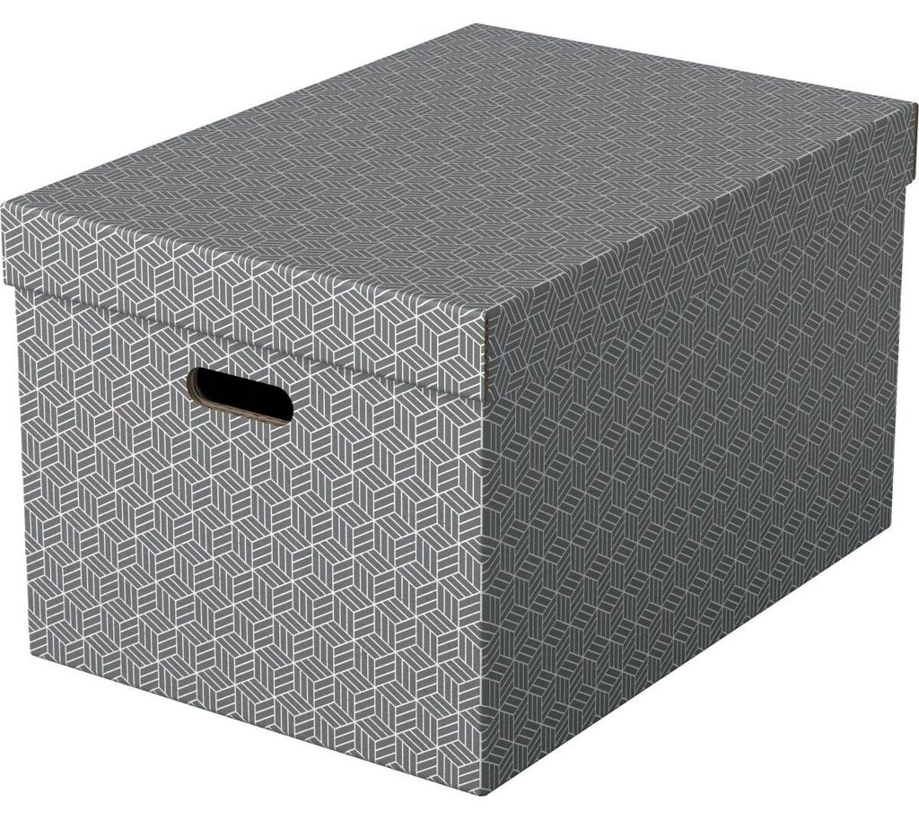 Esselte 628287 Dateiablagebox Karton Grau