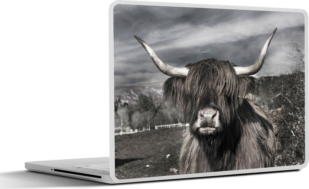 MuchoWow Laptop Aufkleber Sticker Cover Schottisches Hochlandrind - Porträt - Schwarz - Weiß - Tier - Wildnis - Natur 30x21 cm - Sticker für L...
