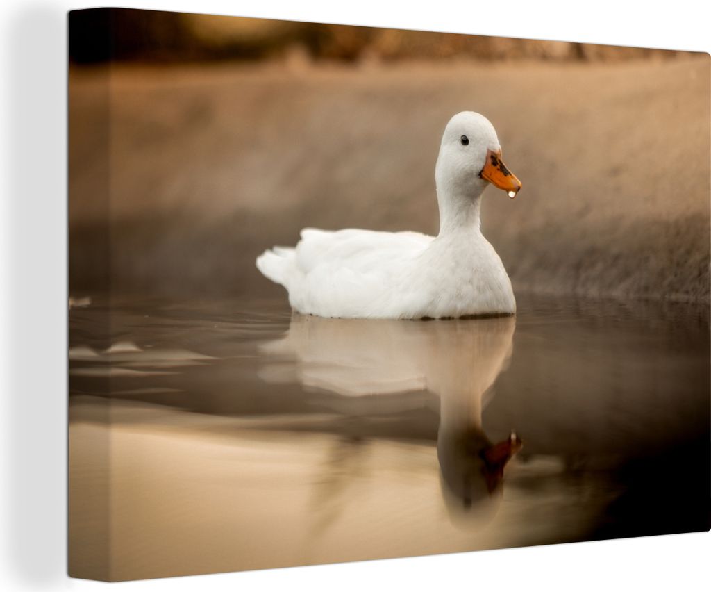 OneMillionCanvasses - Leinwandbilder - 150x100 cm, Ente - Vogel - Wasser - Weiß, Wandbilder Kunstdruck Wanddekoration - Foto auf Leinwand - Gem...