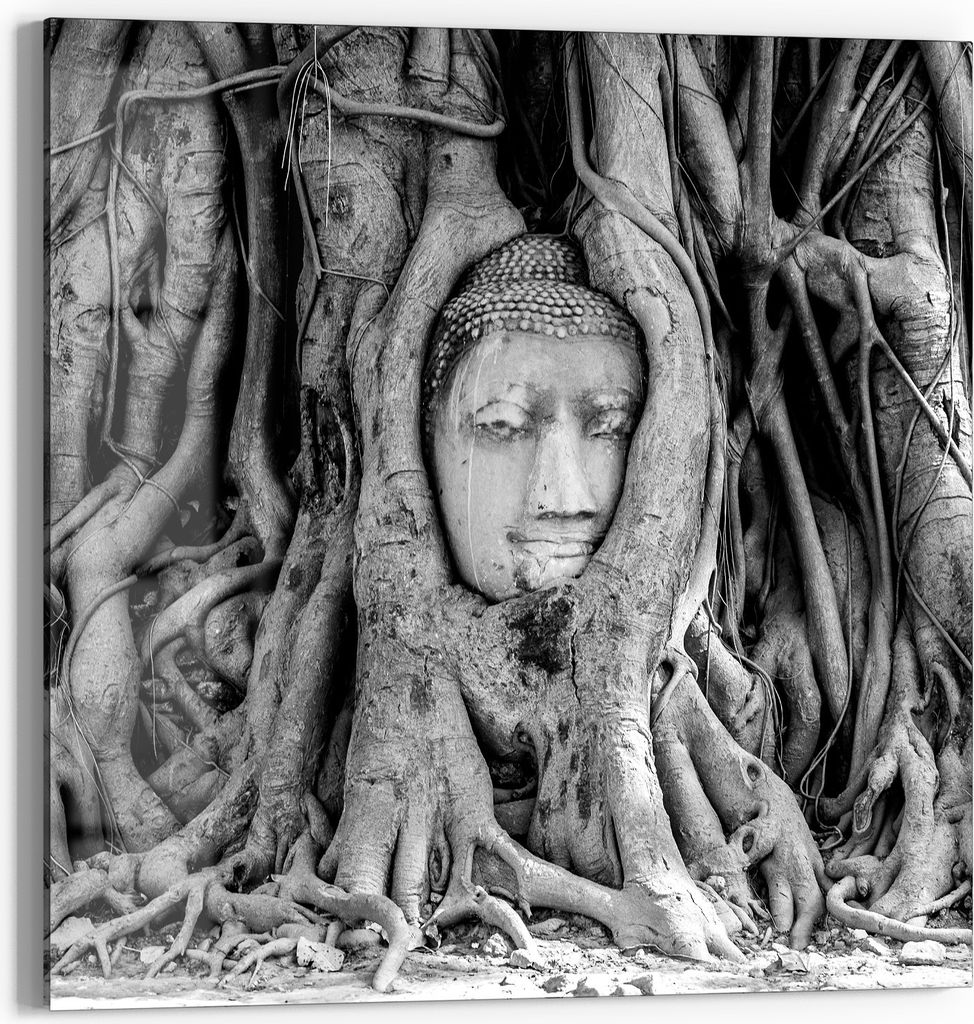 DEQORI Glasbild Echtglas 50x50 cm 'Buddha in Wurzeln' Wandbild Bild modern Deko