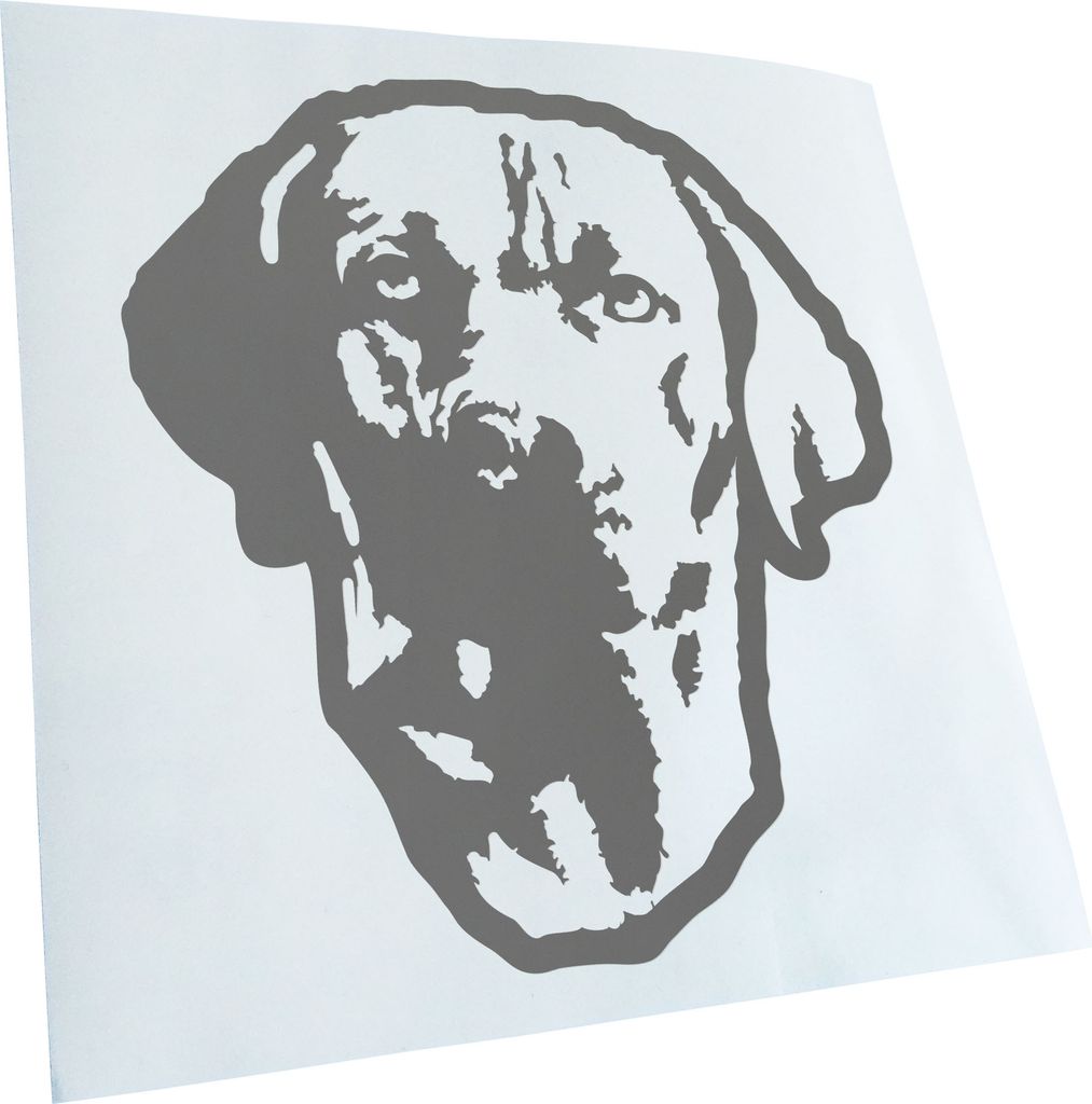 Kiwistar - Autoaufkleber - Rhodesian ridgeback Hund - Grau - 24x22cm - Aufkleber für Auto, Laptop, Fahrrad, LKW, Motorrad mehrfarbig JDM Decal Racing