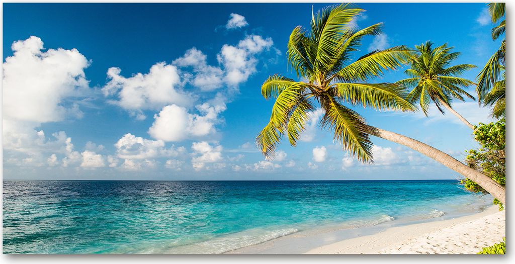 Tulup Leinwandbild -100x50 cm - Wandkunst - Drucke auf Leinwand - Leinwanddruck - Landschaften - Blau - Malediven Strand