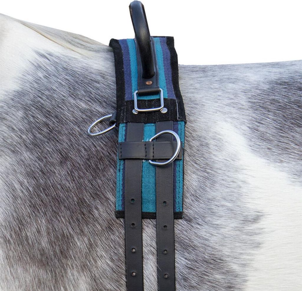 HKM Longiergurt -Canvas- mit Doppelgriff, Farbe:navy/sky blue, Größe:Pony