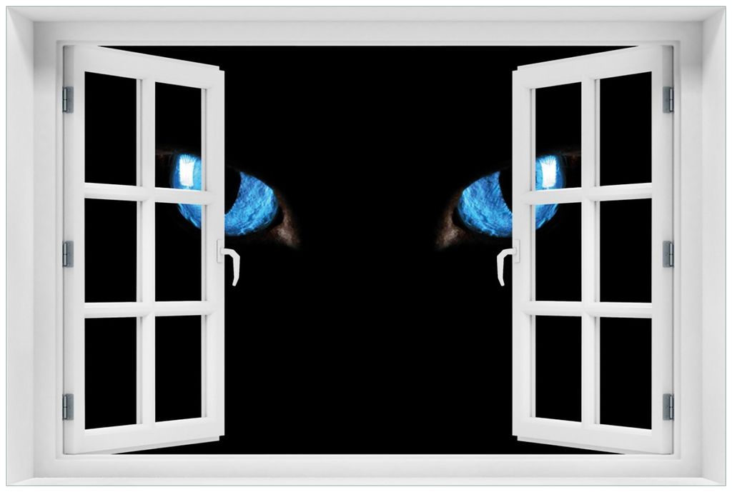 Wallario Premium Glasbild mit Fensterrahmen, freischwebende Optik, kräftige Farben, Größe 60 x 90 cm Motiv Blaue Katzenaugen bei Nacht