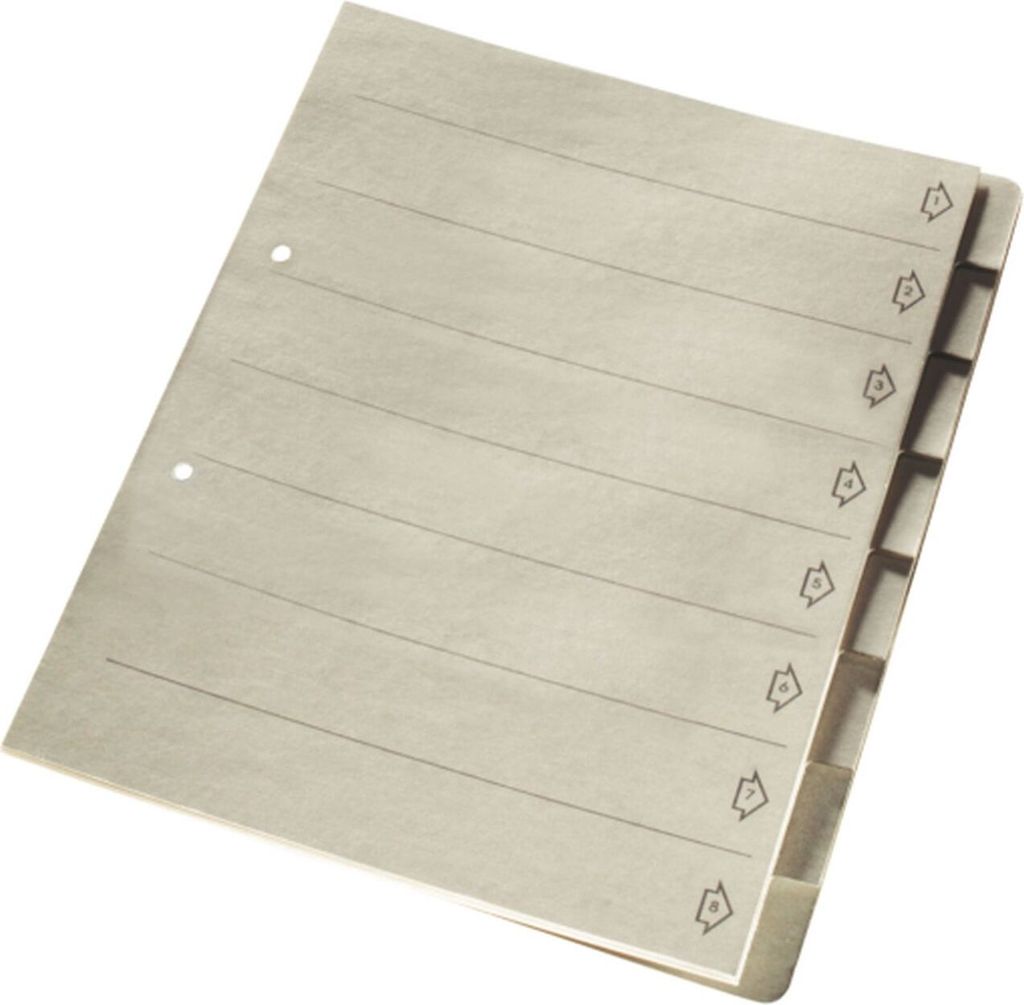 Leitz Register - DIN A4 - für Universalakte Hängeregistratur - grau - 8 Blatt