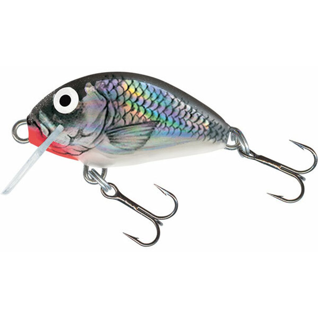 Salmo Tiny Wobbler 3cm, Salmo Farben:Holo Grey Shiner, Länge/Gewicht/Laufverhalten/Tauchtiefe:3cm / 2.5g / sinkend / 0.3-0.3m