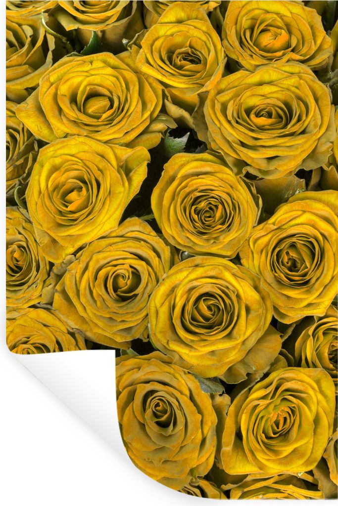 MuchoWow Wandtattoo Wandsticker Wandaufkleber Rosen - Blumenstrauß - Gelb 60x90 cm Selbstklebend und Repositionierbar - Sticker - Dekorfolie