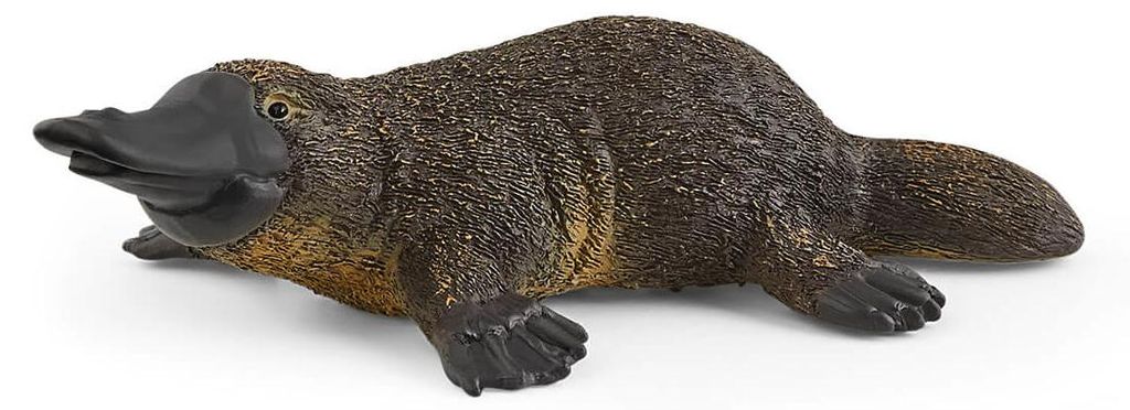 Schleich 14840 Schleich Wild Life 14840 Ornithorynque Image du produit 