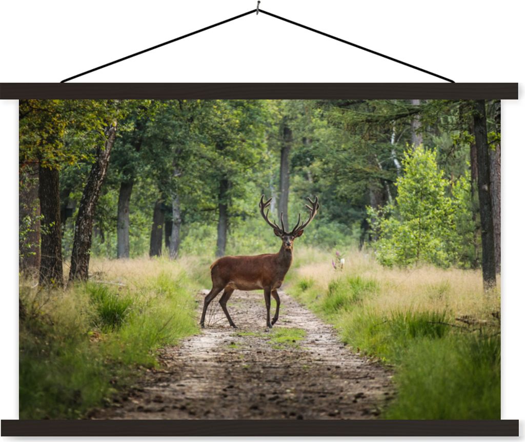 MuchoWow Textilposter Wald - Hirsche - Bäume 60x40 cm mit schwarzem Rahmen - Hölzernes