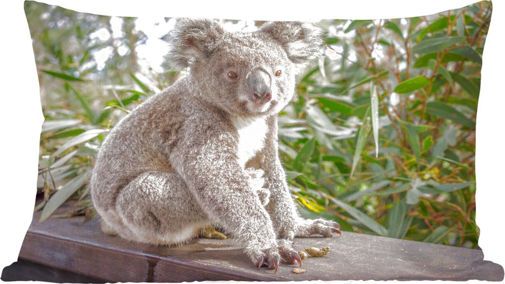 MuchoWow Zierkissen Sofakissen Wohnzimmer Dekokissen 60x40 cm Koala - Holz - Pflanzen - Kinder - Jungen - Mädchen - Kopfkissen - Polster mit Foto