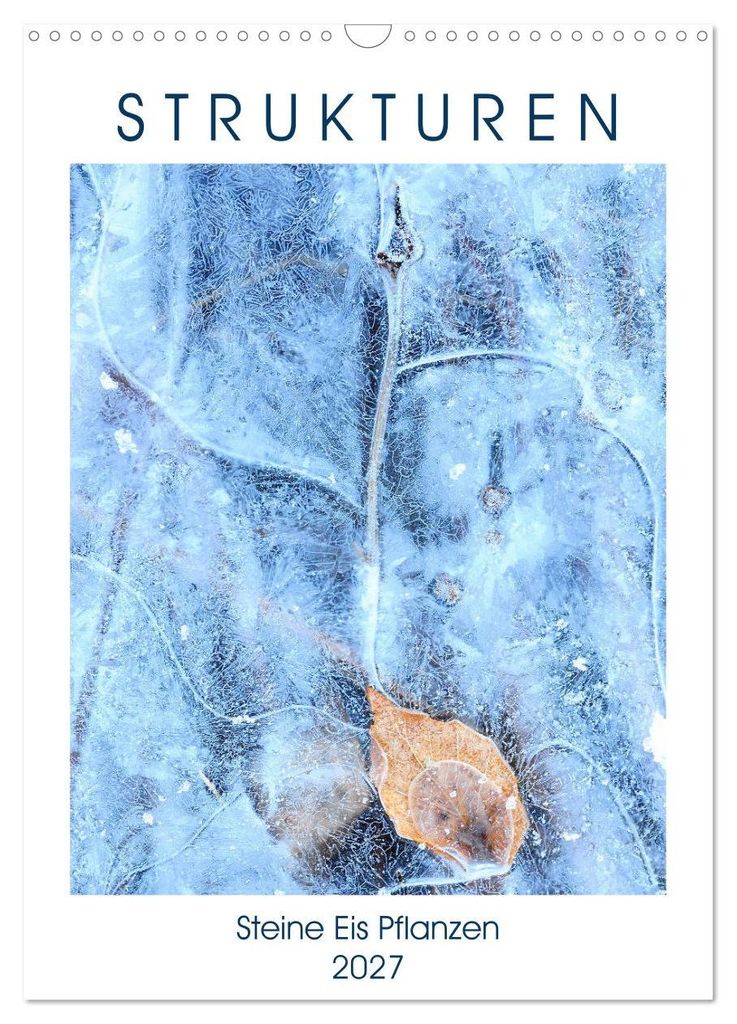 Strukturen - Steine, Eis, Pflanzen (Wandkalender 2027 DIN A3 hoch), CALVENDO Monatskalender