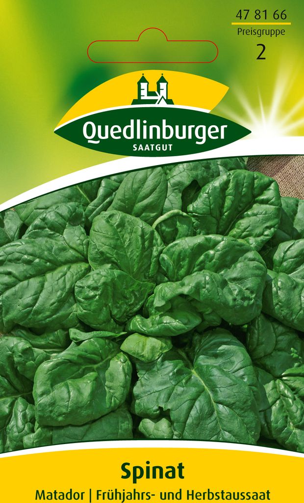 Quedlinburger Saatgut - Spinat Matador - Samen - 478166
