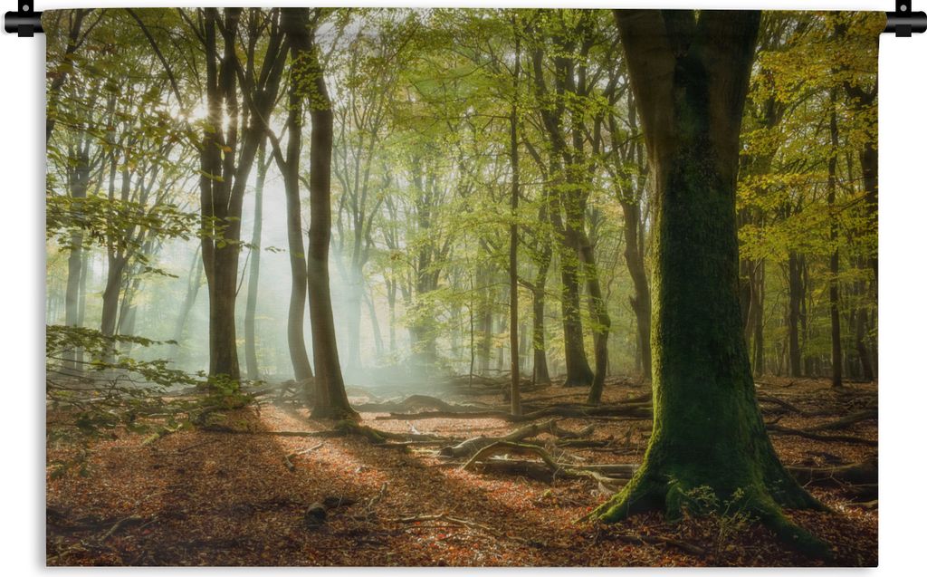 MuchoWow Wandteppich Wandbehang Wald - Sonne - Jahreszeiten - Landschaft 60x40 cm Tapisserie Dekoration Wandtuch - Wanddekorationen