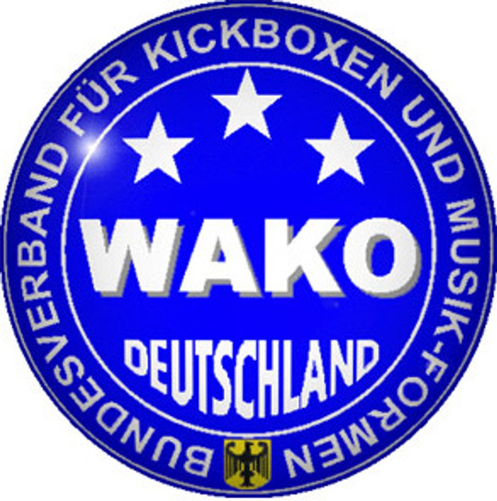 Boxhandschuh Ergo Champ Approved by WAKO DE schwarz