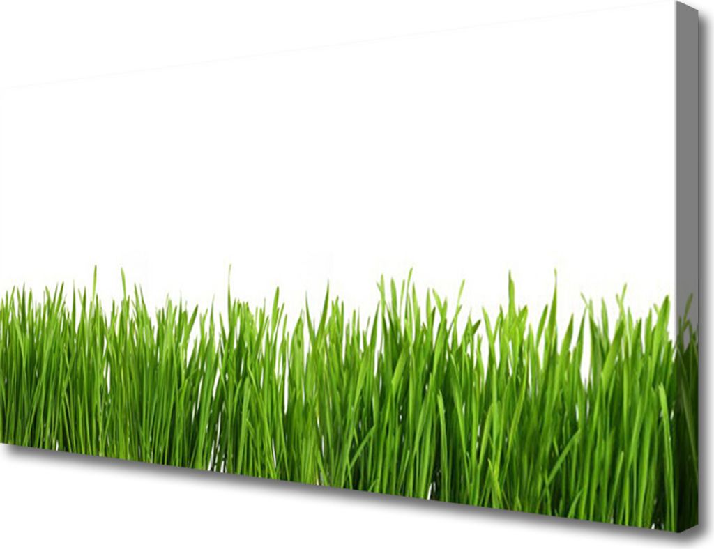 Tulup Leinwand-Bilder 100x50 Wandbild Canvas Kunstdruck Gras Natur