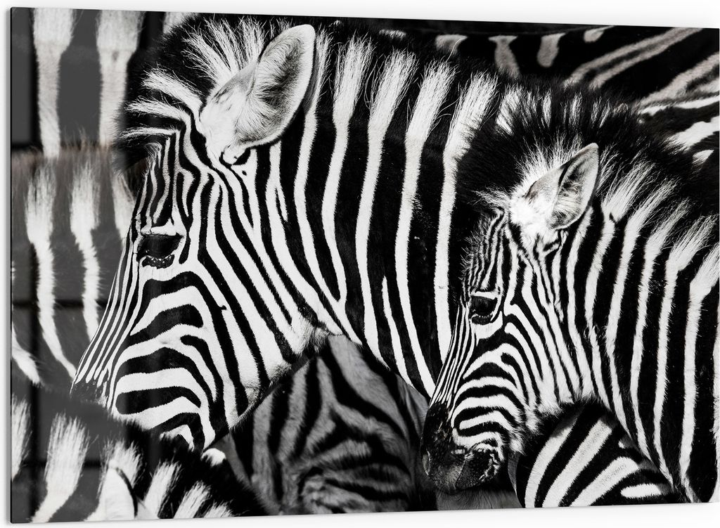 DEQORI Küchenrückwand Glas 60x40 cm 'Streifenharmonie' Spritzschutz Bad Rückwand Küche