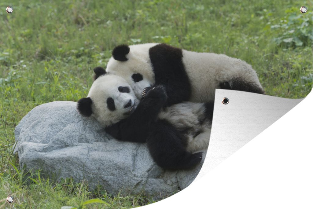 MuchoWow 90x60 cm Outdoor-Poster Gartendeko Sichtschutz Garten Poster für den Garten Pandas - Gras - Stein