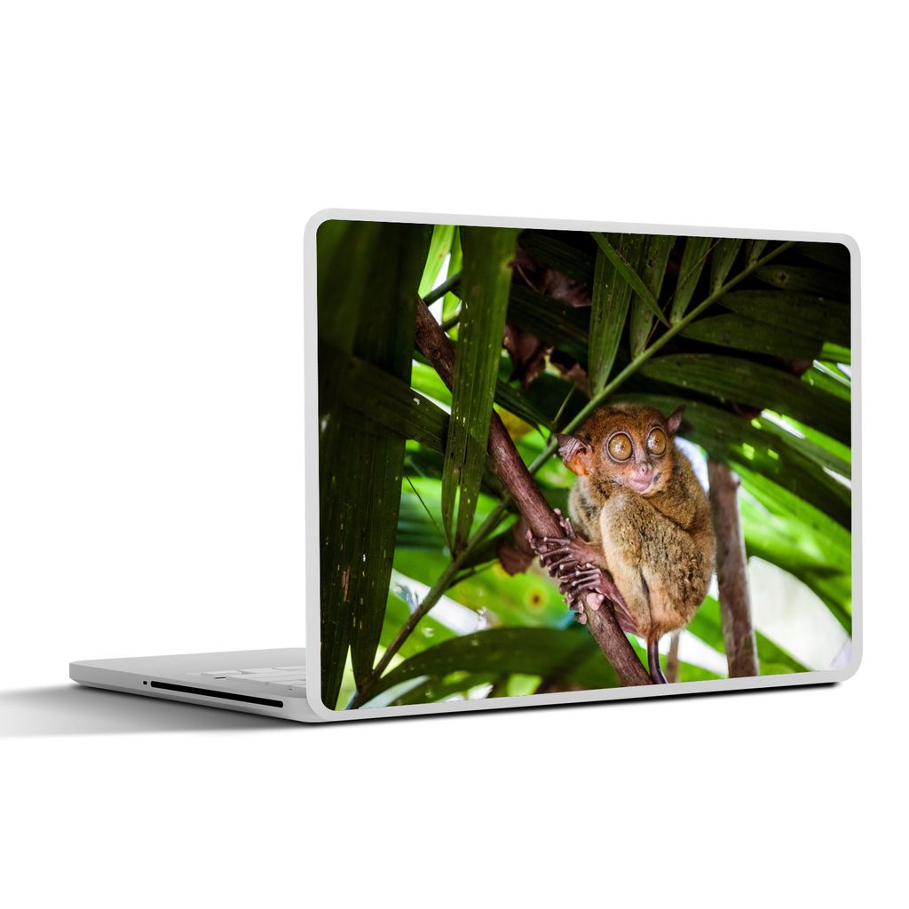 MuchoWow Laptop Aufkleber Sticker Cover Philippinischer Geist zwischen den grünen Blättern 40x30 cm - Laptop Dekoration - Selbstklebend