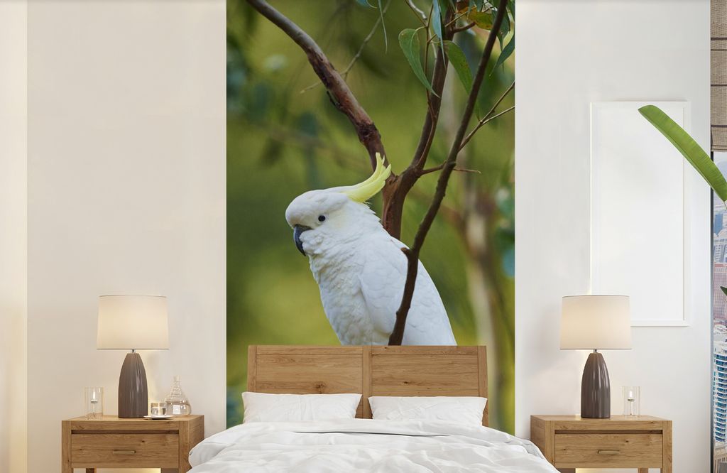 MuchoWow Fototapete für Wohnzimmer oder Schlafzimmer Wandtapete Vinyl Motivtapete Weißer Kakadu zwischen grünen Blättern - 120x240 cm - Hinte...