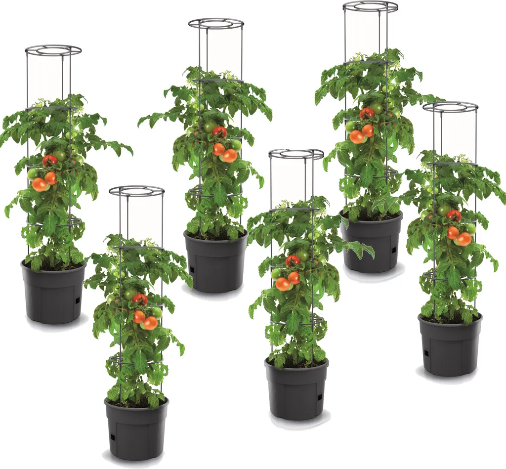 Jardinière de Tomates pour Balcon et Terrasse Lot de 6 Pots 28 Litres