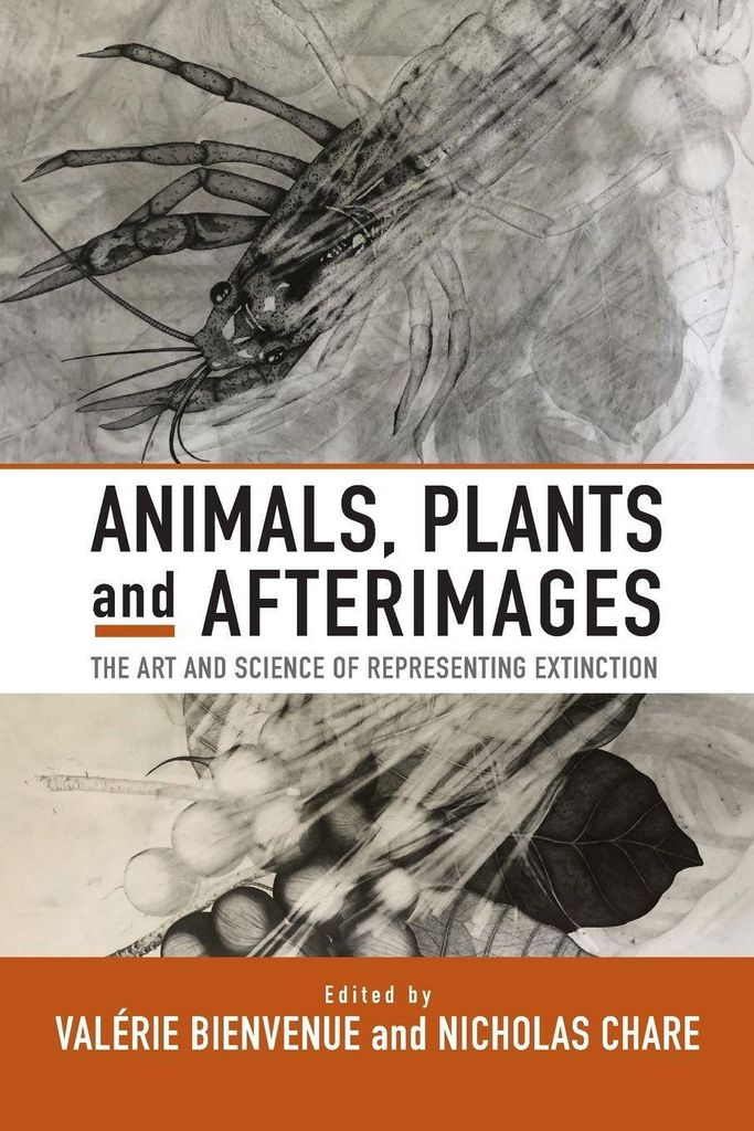 Animals Plants & Afterimages – Lingua: Inglese