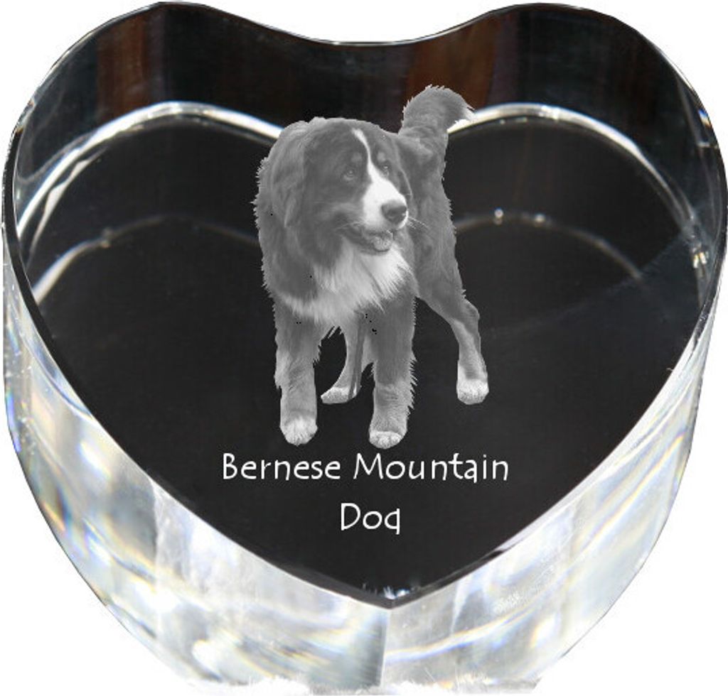 Berner Sennenhund, Dürrbächler, Bouvier bernois - Hundebild im Kristall, Kristallherz, einzigartiger Bilderrahmen der Marke Art-Dog