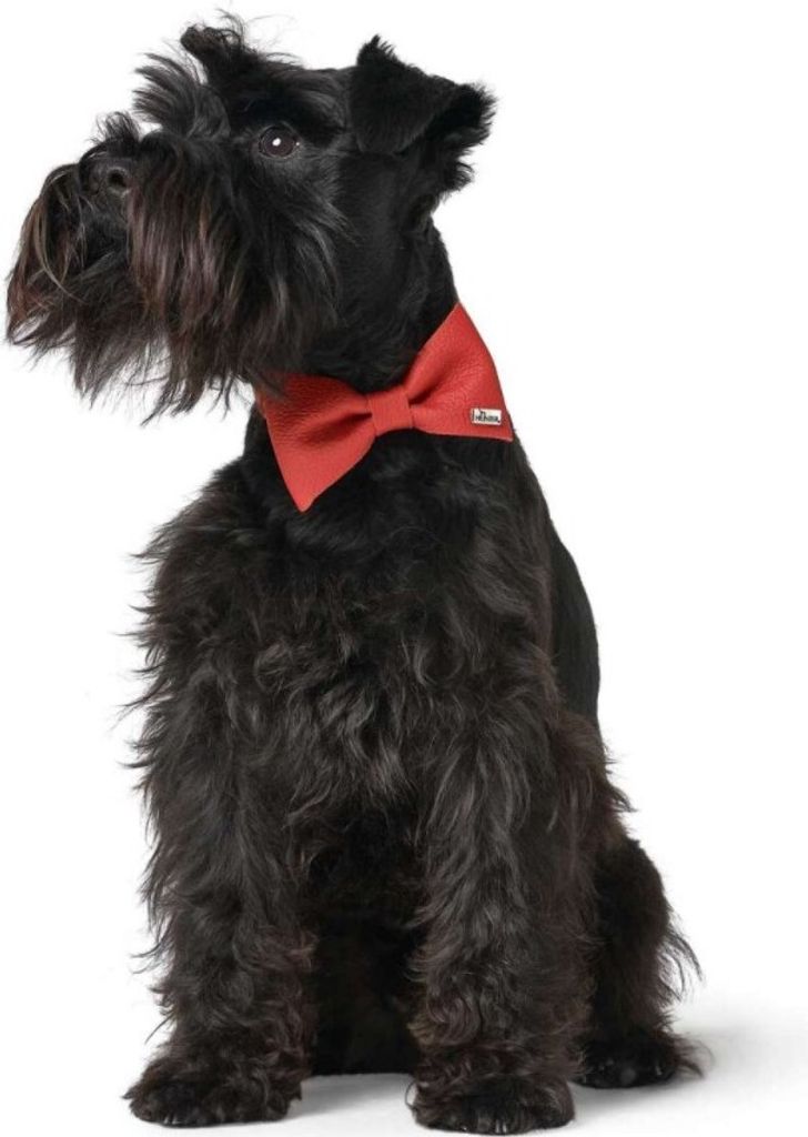 Hunter Halsband-Fliege Paris rot. Produktbild 6