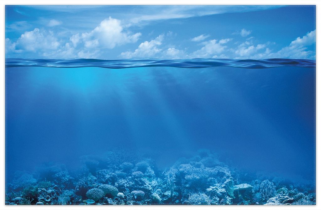 Wallario Premium Teppich, Größe 90 x 140 cm, Unterwasserwelt Meer