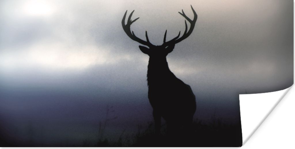 MuchoWow Poster Hirsch - Scherenschnitt - Nebel 150x75 cm - ohne Rahmen