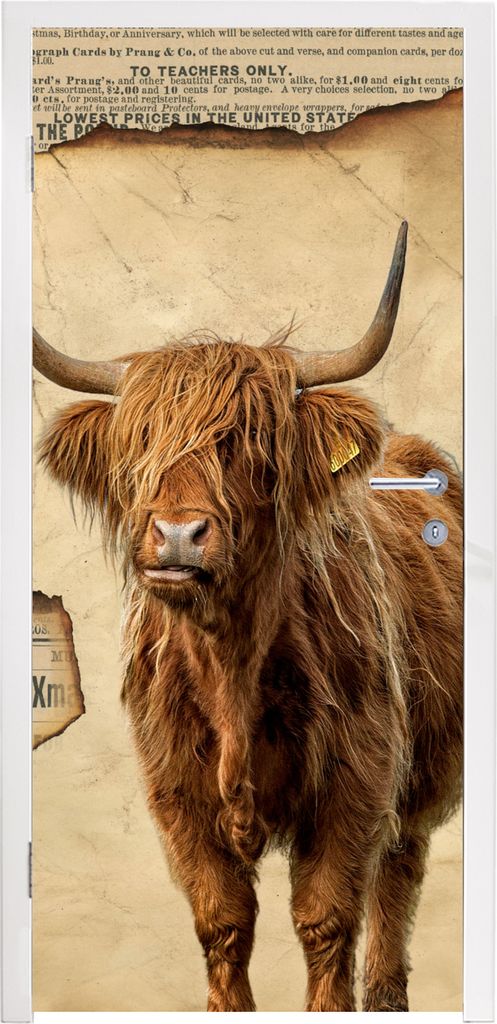 MuchoWow Türtapete Selbstklebende Türfolie Schottischer Highlander - Retro - Zeitungsartikel 75x205 cm Türposter Türaufkleber Klebefolie Tür...