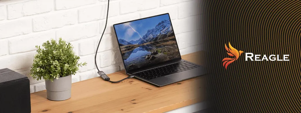 Adattatore USB-C a DisplayPort 4K 60Hz per MacBook e Samsung DeX - 2