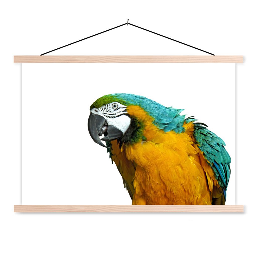 MuchoWow Textilposter Papagei - Vogel - Federn - Porträt 60x40 cm mit holzfarbenen Rahmen - Bilder