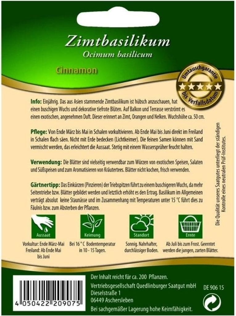 Zimtbasilikum Produktbild 