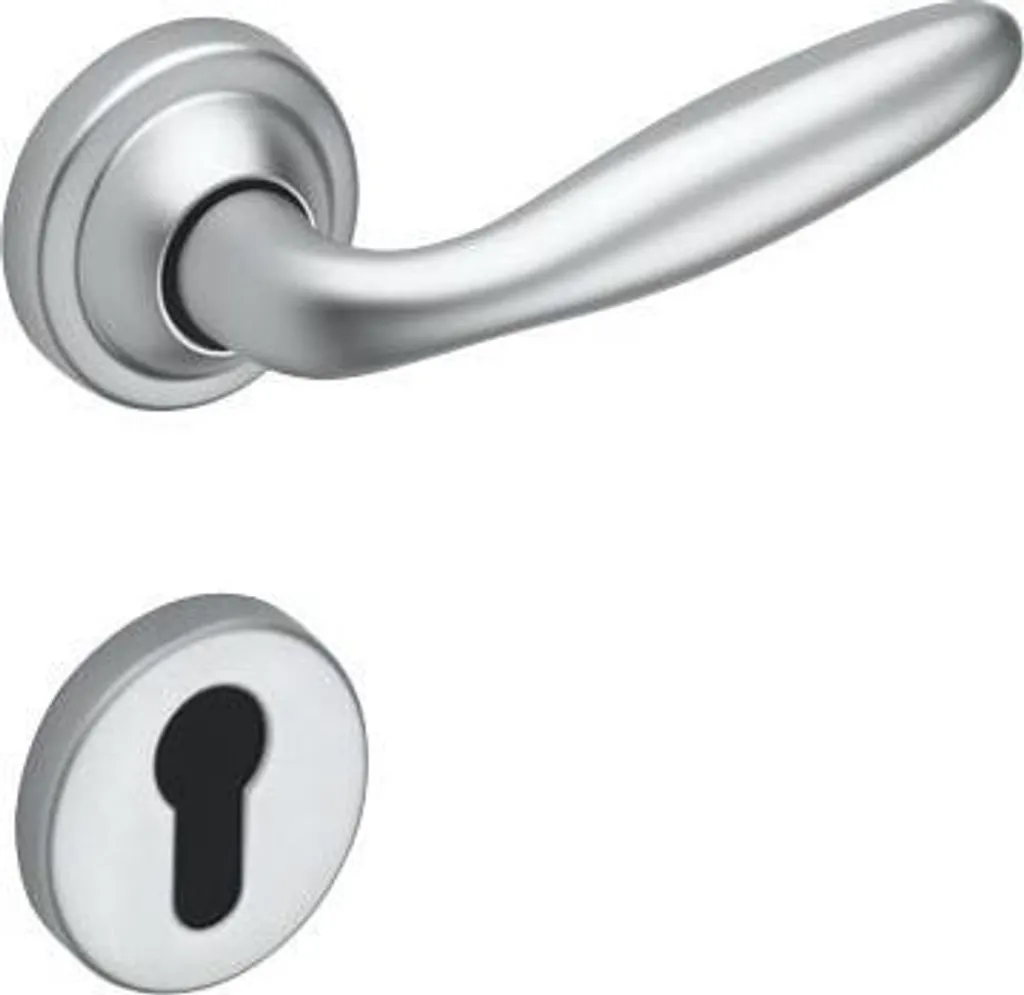 Rosace de porte pour clé I chrome velours Assa Abloy finition premium