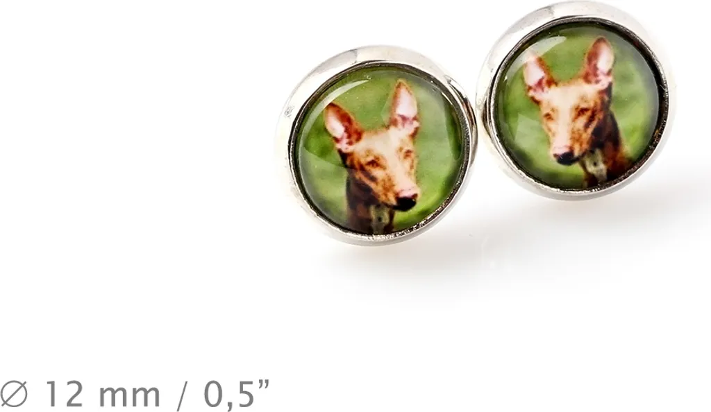Cane del Faraone, Pharaoh Hound, Kelb tal-Fenek - Set di gioielli con la tua foto, gioiello per donna, prodotto artigianale, prodotto realizzato a mano con passione per il marchio Art-Dog.