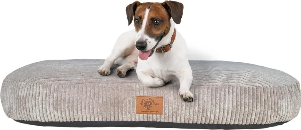 Offerta Letto Cane Ortopedico 110x65CM - Divano Gatti Memory Foam