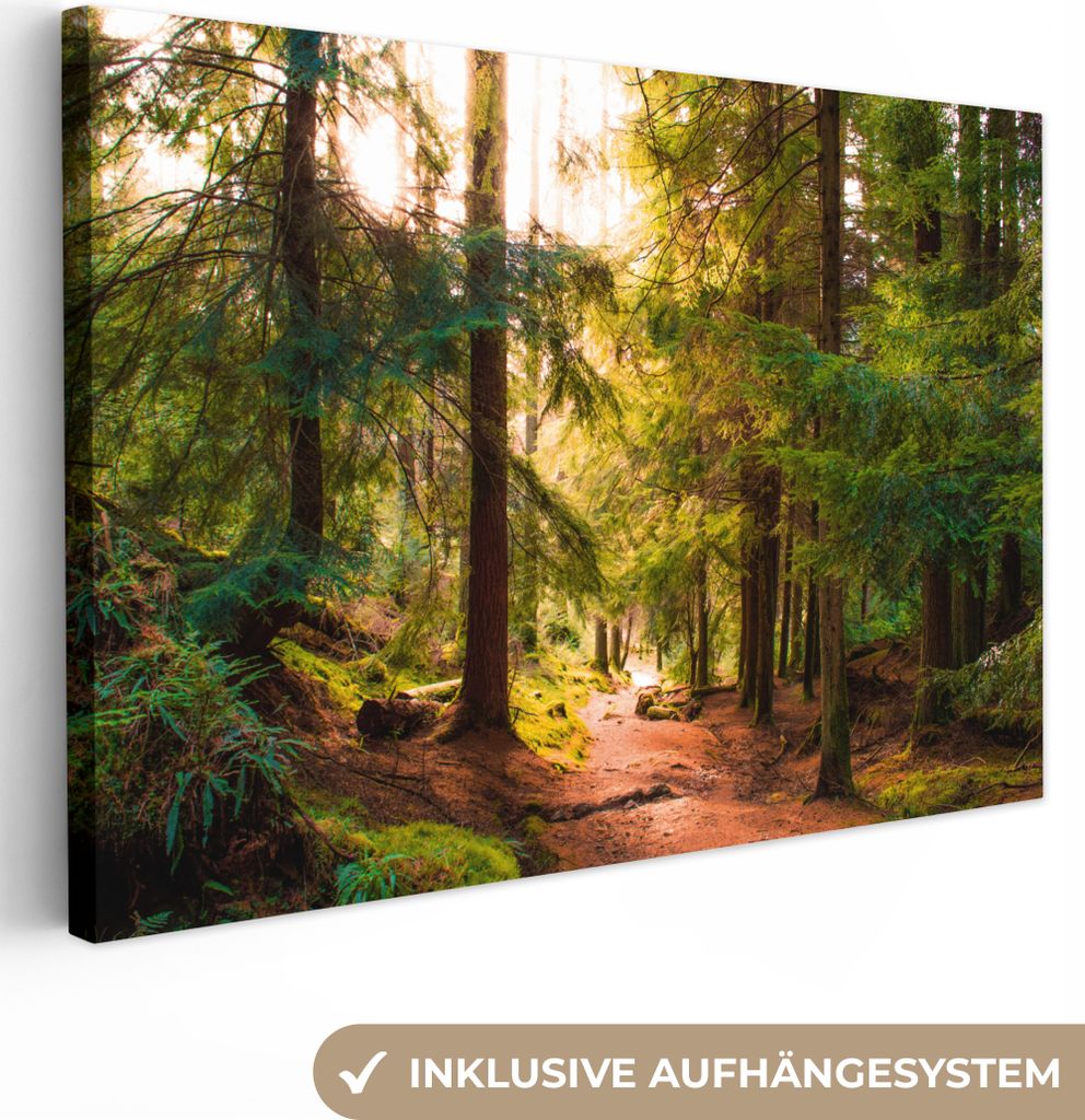 MuchoWow - Leinwandbilder - Wald - Weg - Bäume - Grün - Sonne - Natur, Wandbild, Wanddeko Bilder Wohnzimmer, 30x20 cm