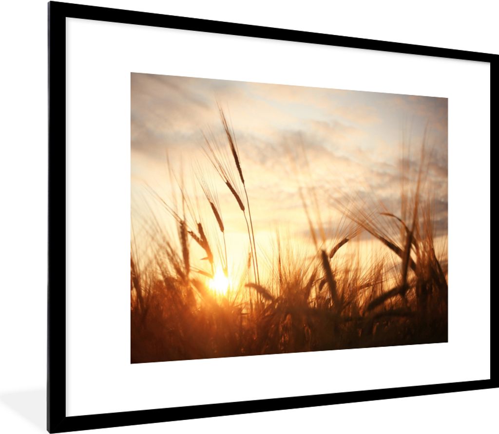 MuchoWow Gerahmtes Poster Schilf - Gras - Sonnenuntergang - Natur - Horizont 80x60 cm - Poster mit Schwarzem Bilderrahmen Wandposter Rahmen Foto ...