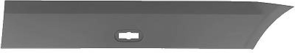 DIEDERICHS Seitenschutzleiste hinten links 1663363 für VW CRAFTER 30-50 Kasten (2E) CRAFTER 30-35 Bus (2E) passend für MERCEDES-BENZ