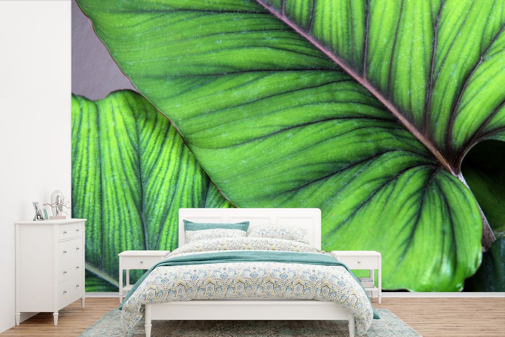 MuchoWow Fototapete für Wohnzimmer oder Schlafzimmer Wandtapete Vinyl Motivtapete Foto von großen tropischen botanischen Blättern - 330x220 cm...