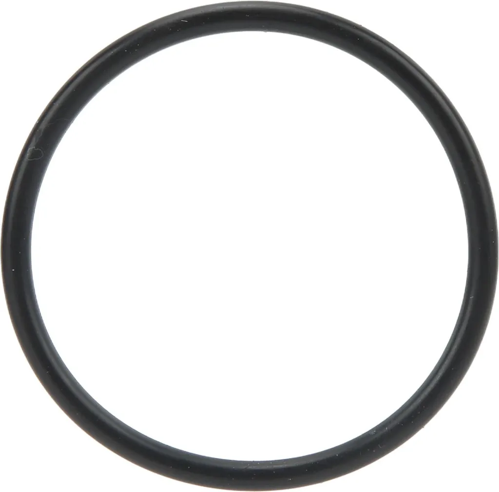 O-ring Pompa Acqua in Gomma: Guarnizione Tenuta Filtro Esterno Alta Qualità