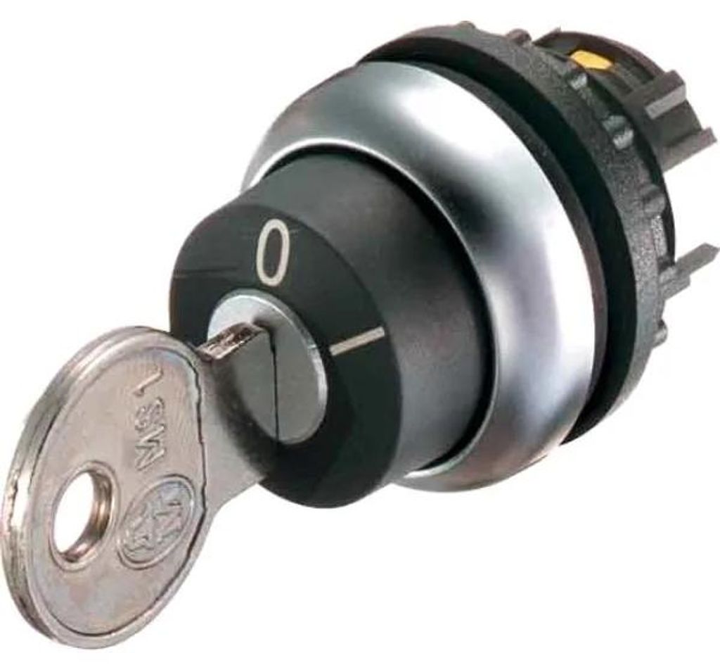 M22-WRSde Commutateur 2 Positions Stable à Clé Noir Titane Image du produit 