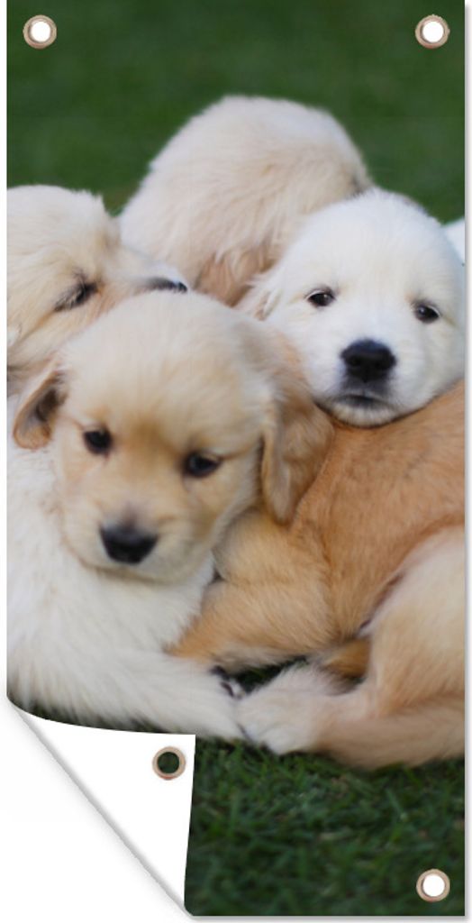 MuchoWow 40x80 cm Outdoor-Poster Gartendeko Sichtschutz Garten Poster für den Garten Tiere - Welpen - Hunde