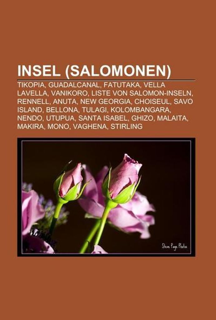 Insel (Salomonen)