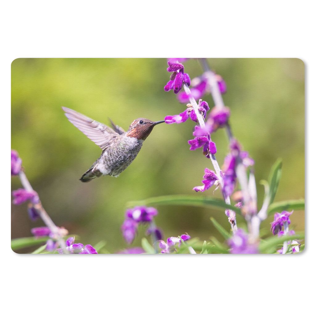 MuchoWow Mauspad Mousepad Kolibri - Vogel - Natur 27x18 cm - Mousepads - Maus Mat - Pad - Mausunterlage - Büroartikel - Desk Matten