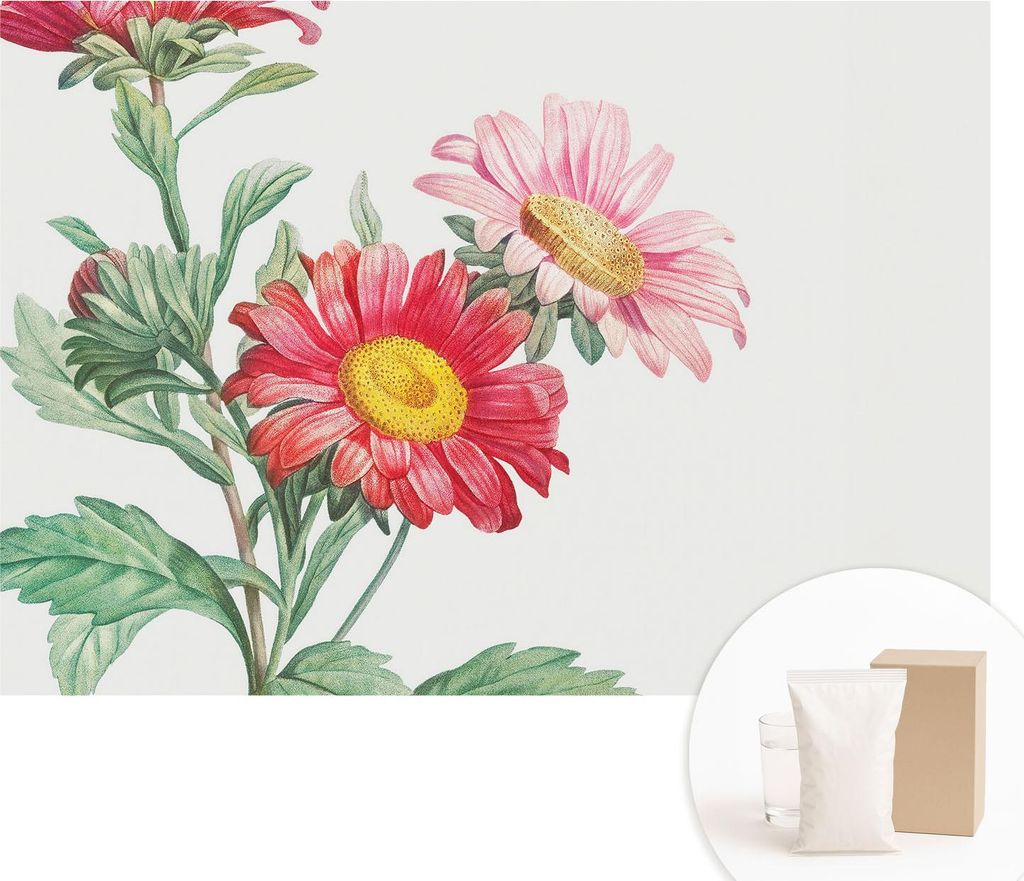 Fototapete - Wandbilder für Wohnzimmer - 208x146 cm - Dekorative Wandfolie - Modernes Design für Wanddekoration - Tapeten für Innenräume - Zart...