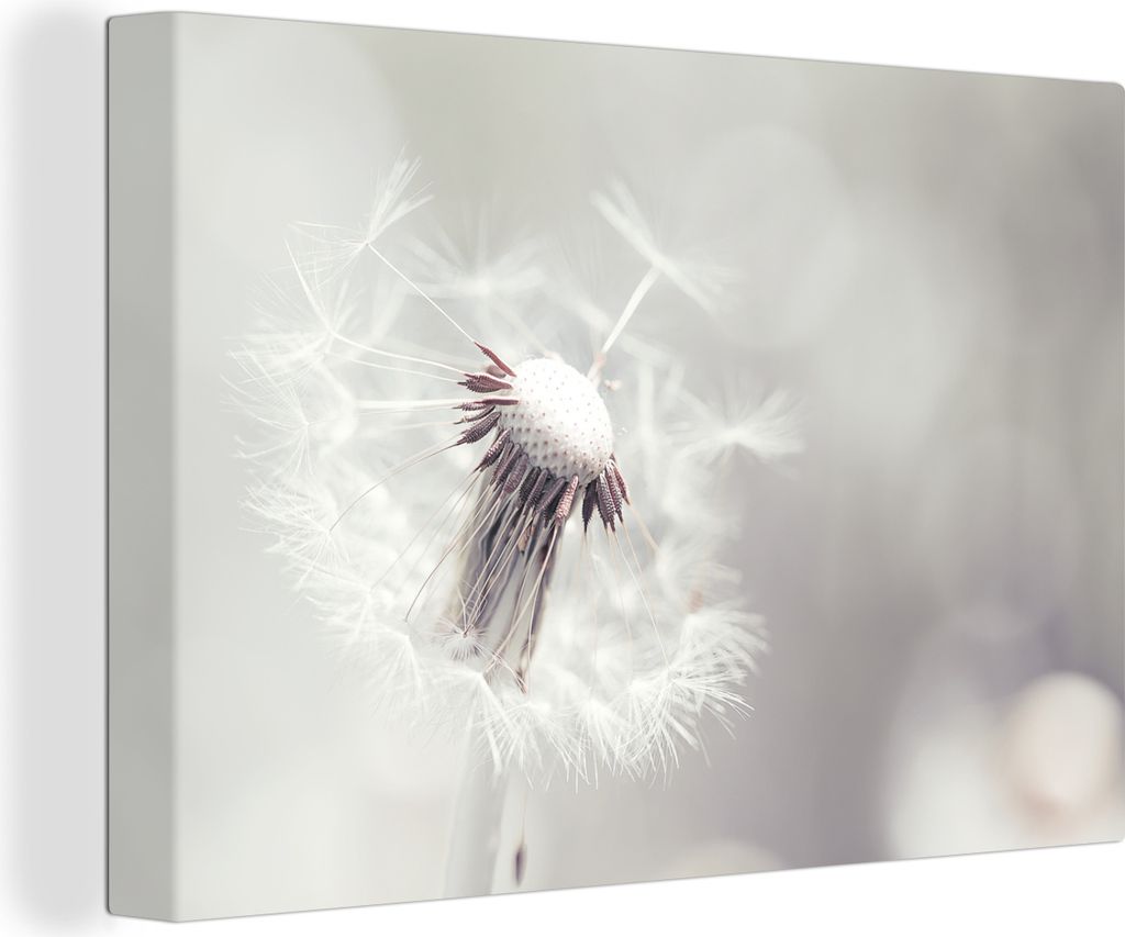 OneMillionCanvasses - Leinwandbilder - 150x100 cm, Weißer Löwenzahn mit Samen auf hellem Hintergrund, Wandbilder Kunstdruck Wanddekoration